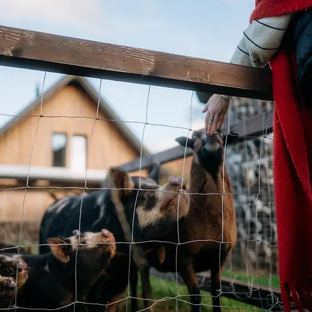Prázdninový dům Malá Venkovanka Se Saunou A Bazénem